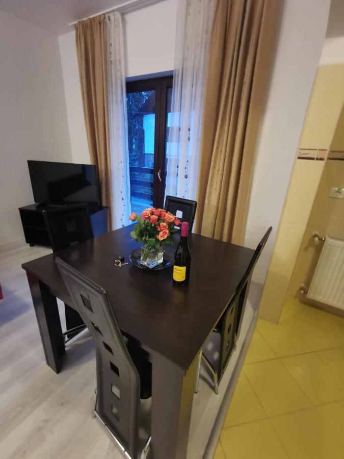 Residence Sinaia Apartment المظهر الخارجي الصورة